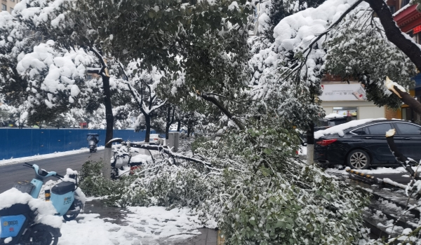 抗擊冰雪，他們在行動